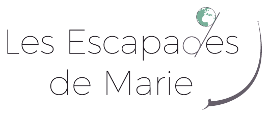 marie vibert juliane grenoble webmaster graphiste